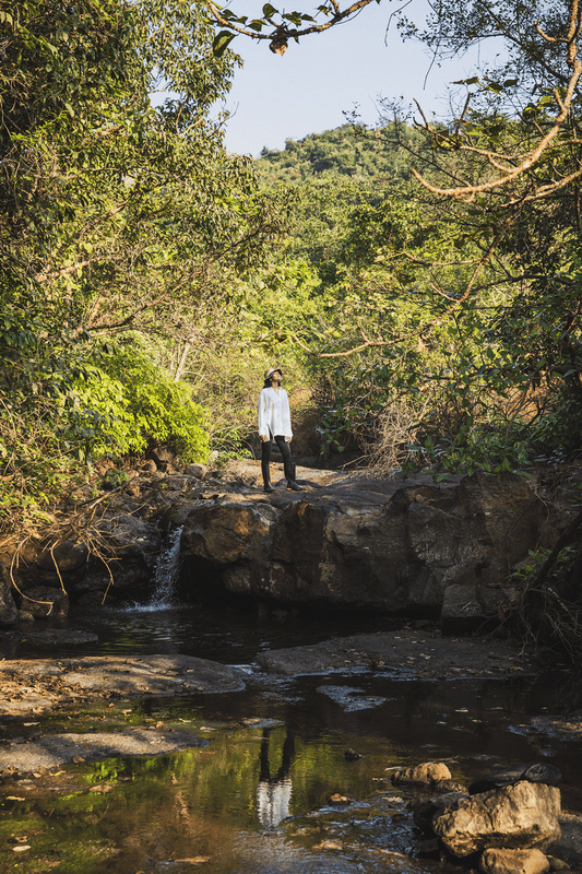 Dharana at Shillim 5*